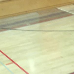 Meet your Posher, Mia